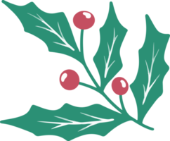 bayas y hojas de acebo de navidad png
