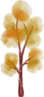 élément d'arbre aquarelle png