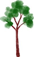 ilustração em aquarela de árvore png