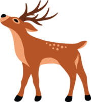 Christmas Gold Deer Art Illustration png