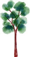 Watercolor Tree element png