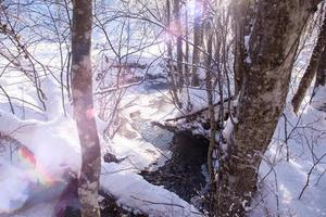 small river in the winter forest photo