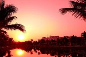 Defocus blurred dark palm trees silhouettes on colorful tropical lake sunset background, a cityscape with an orange sunset. photo