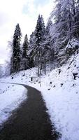 Walkway hiking epic mountain outdoor adventure pass the pine forest and Winter snow mountain photo