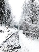 Walkway hiking epic mountain outdoor adventure to the old salt mine of Hallstatt pass the pine forest and Winter snow mountain landscape outdoor adventure, Austria photo