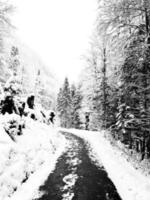Senderismo Senderismo Montaña épica Aventura al aire libre Hasta la antigua mina de sal de Hallstatt Pase el bosque de pinos y el paisaje nevado de invierno Aventura al aire libre, Austria foto