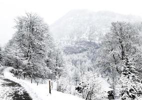 Senderismo Senderismo Montaña épica Aventura al aire libre Hasta la antigua mina de sal de Hallstatt Pase el bosque de pinos y el paisaje nevado de invierno Aventura al aire libre, Austria foto