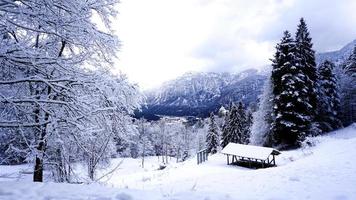 hallstatt invierno nieve montaña paisaje y bosque de pinos foto