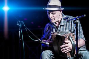 Accordion player during a show photo