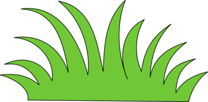 groen gras png