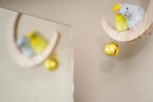 Couple Forpus, little tiny parrots bird perched on a mini crescent moon wooden swing. photo