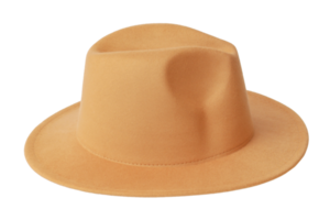 guarda-roupa de chapéu de outono png