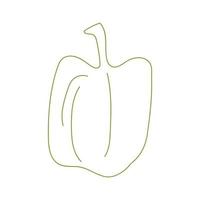 Bell pepper in line art drawing style. linear sketch isolated on white background. Vector illustration