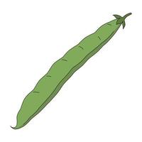 A bean pod in cartoon style. Vector illustration of phaseolus vulgaris isolated on a white background. Source of vitamins, ingredient for healthy food