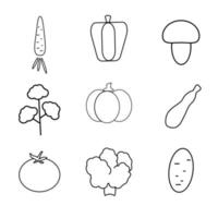 conjunto de iconos de línea fina de verduras básicas. aislado. de color negro vector