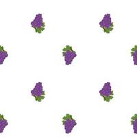 Seamless vector pattern with bunch of grapes with leaves