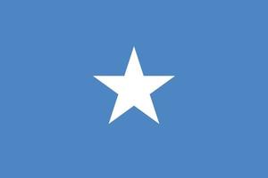 vector de bandera nacional de somalia