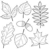 Set of leaves. Vector colorless set. Design elements or page of  children's coloring book