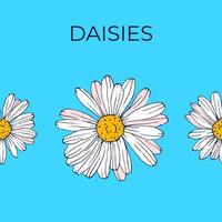 Seamless chamomile flower.Floral pattern for printing. Vector pattern