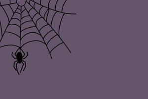 Halloween spider web and spiders on color background. Vector illustration