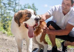 young man travelling with young dog at the mountains, St.Bernard dog closeup photo