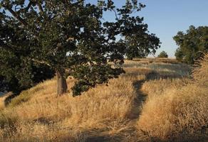 al aire libre, californa, cañonera, cordillera, escénico, estados unidos, excursionismo, montaña, montañas, naturaleza, oscuridad, paisaje, parque ed davis, viaje, vista foto