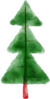 Watercolor Pine Tree Clip Art png