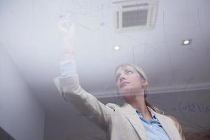 business woman at office photo