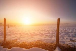 winter landscape during sunset photo