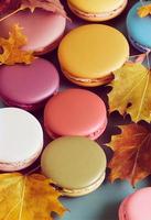 composición de macarrones. marco hecho de bayas de otoño y macarons. otoño, concepto de otoño. endecha plana, vista superior, espacio de copia foto