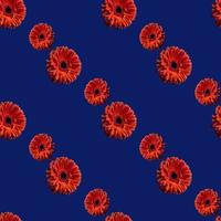 seamless diagonal pattern of bright gerbera flower on a deep blue background photo