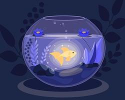 Glowing golden fish in the transparent aquarium