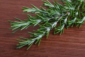 Rosemary branch on wooden background photo