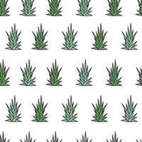 Aloe Vera Pattern vector