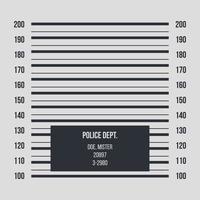 Empty Mugshot with Details vector