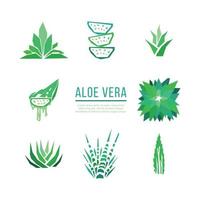 elementos de aloe vera vector