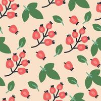 Colorful Rosehip Pattern vector