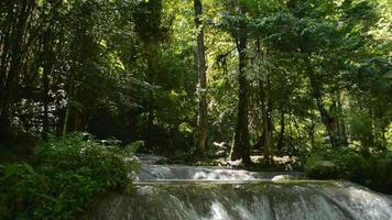 rustig landschap van tropisch regenwoud met water stroom vloeiende over- de rotsen door de weelderig gebladerte planten. video