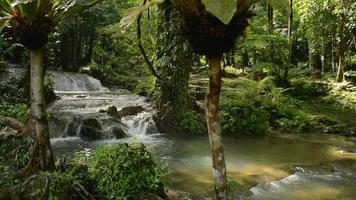 cenário maravilhoso de fluxo de água que flui da montanha através das rochas na floresta tropical. video