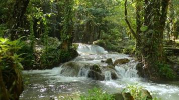 bela cascata com fluxo de água fluindo sobre as rochas através da floresta verde sob o sol da manhã. video