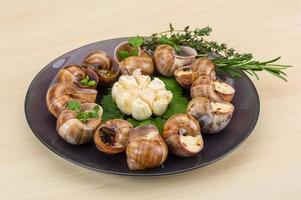 Escargot on the plate and wooden background photo