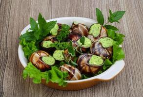 Escargot in a bowl on wooden background photo