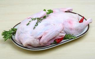 Raw duck on the plate and wooden background photo