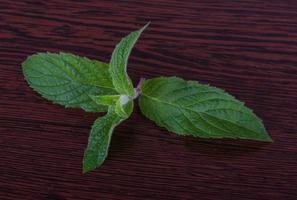 Mint leaves on wooden background photo