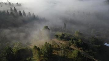 vlieg over- in Karpaten bergen met weelderig platteland gedekt in ochtend- mist video