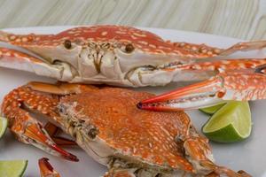 Boiled crabs on the plate photo