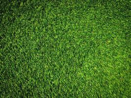 Green grass texture background with copy space for design, Top view photo