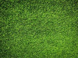 Closeup view of green grass soccer field background. Wallpaper for work and design. photo