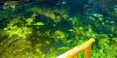 Blue turquoise water limestone cave sinkhole cenote Tajma ha Mexico. photo