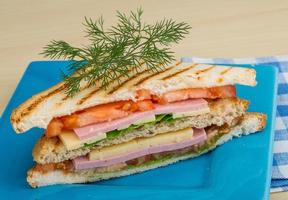 Club sandwich on the plate photo